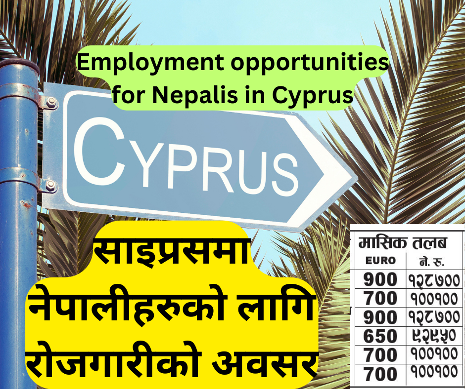 Job Opportunity in Cyprus