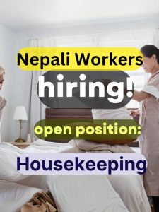 Cyprus Job Demand housekeeping2