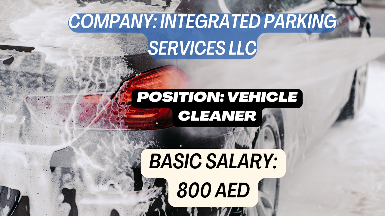 vehicle cleaner