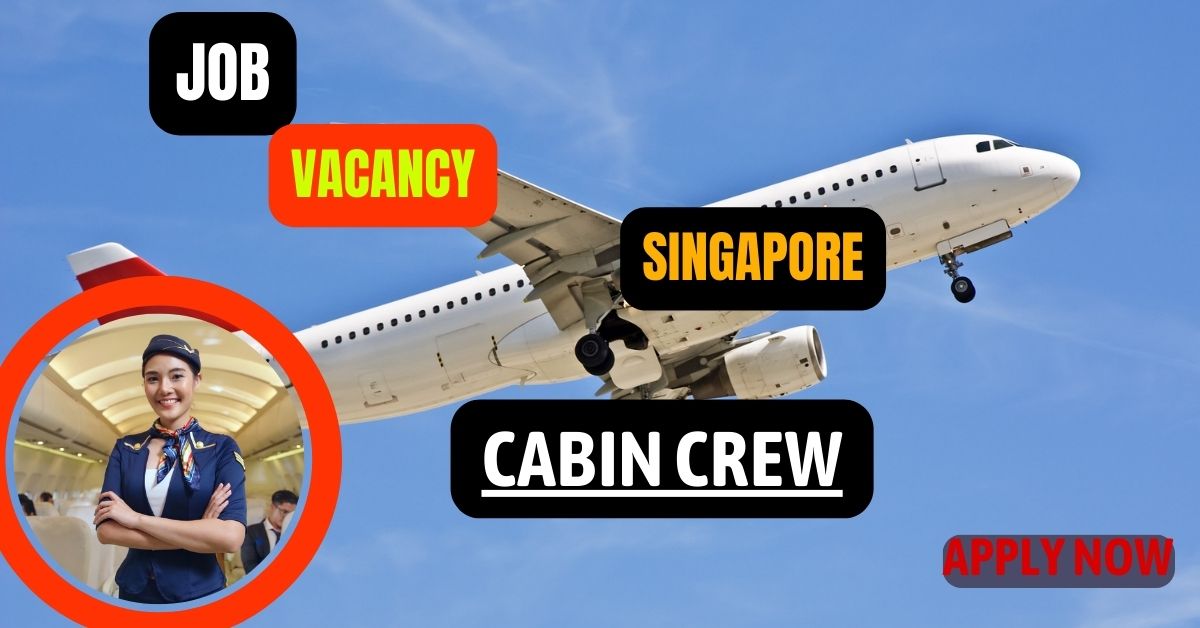 Cabin Crew