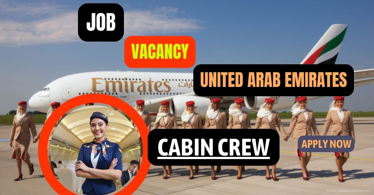 Cabin Crew