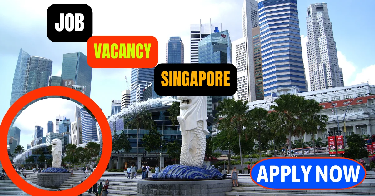 Singapore Job Openings Customer Contact Experience Product Owner