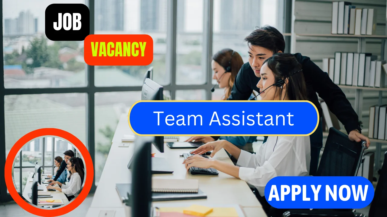 Team Assistant Job Vacancies